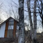 山小屋
